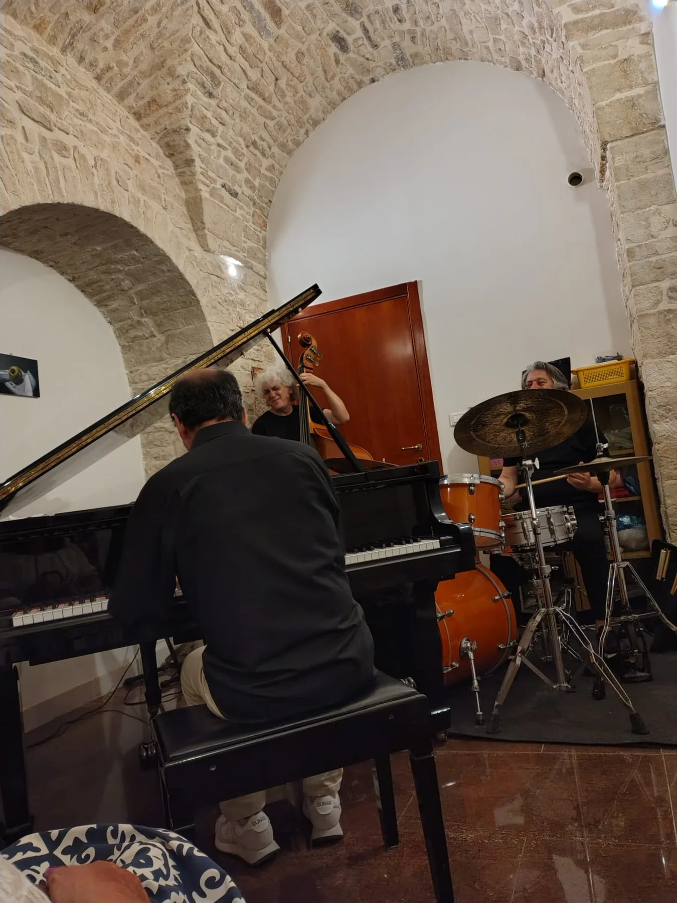 Esecuzione musicale del trio durante la serata